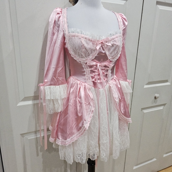 Dolls Kill Exclusive French Cake Queen Marie Antoinette Pink Lace Mini Dress S - Picture 11 of 11
